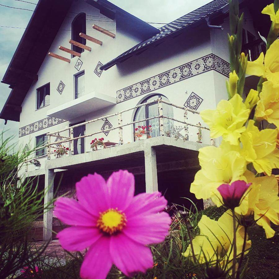 Villa Casa Aureliana à Ciocanesti Extérieur photo